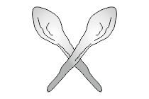 adler