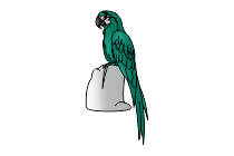 adler