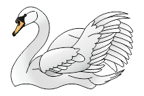 adler